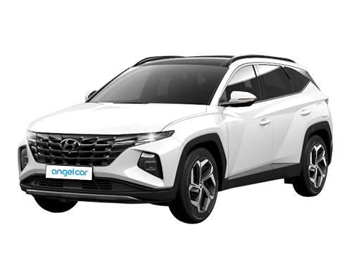 d.rentcar.cgrade