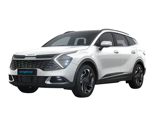 d.rentcar.cgrade