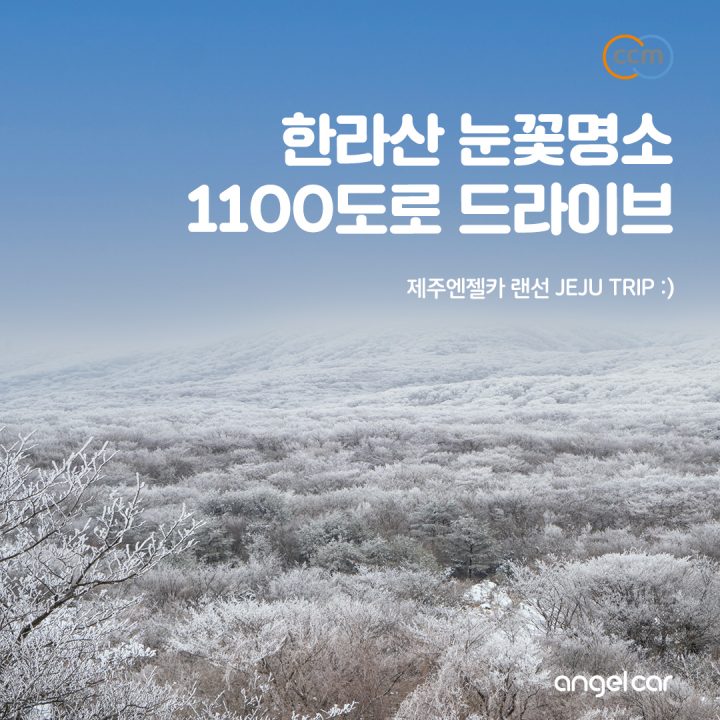 제주 겨울 한라산 드라이브코스 :: 1100도로 구간 안내