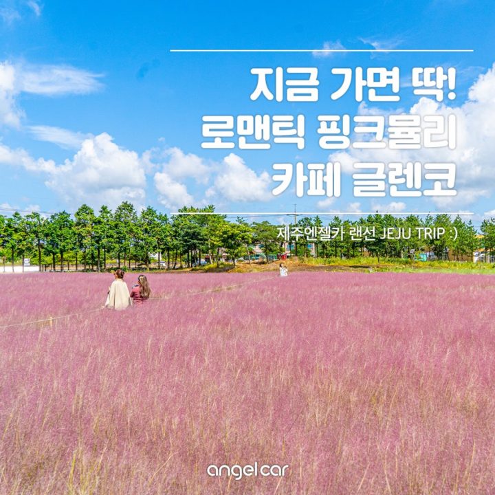 제주 10월 가볼만한곳, 로맨틱 핑크뮬리 카페 글렌코