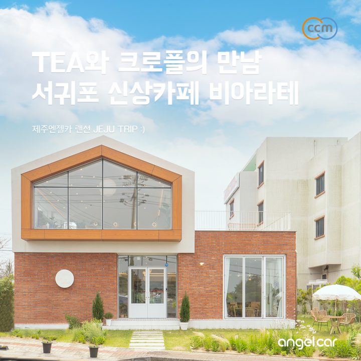 제주 안덕면 카페 :: 브라운 치즈 크로플이 맛있는 new cafe