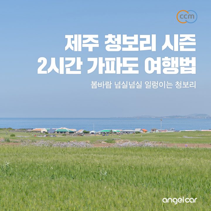 제주도 가파도 여행 :: 딱 정해진 2시간 알차게 즐기기!