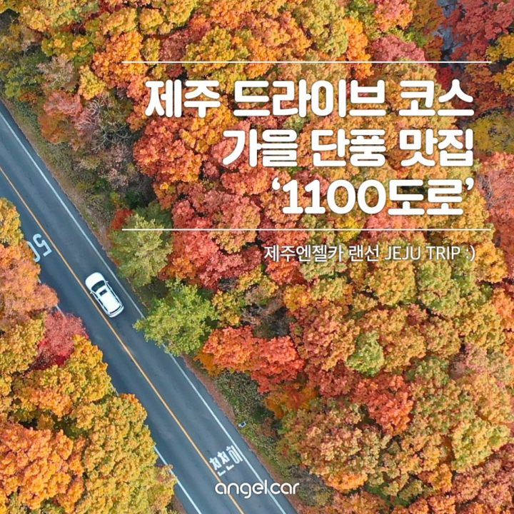 11월 제주 가볼만한곳 :: 낭만 가을 드라이브 코스 + 내비 주소 포함