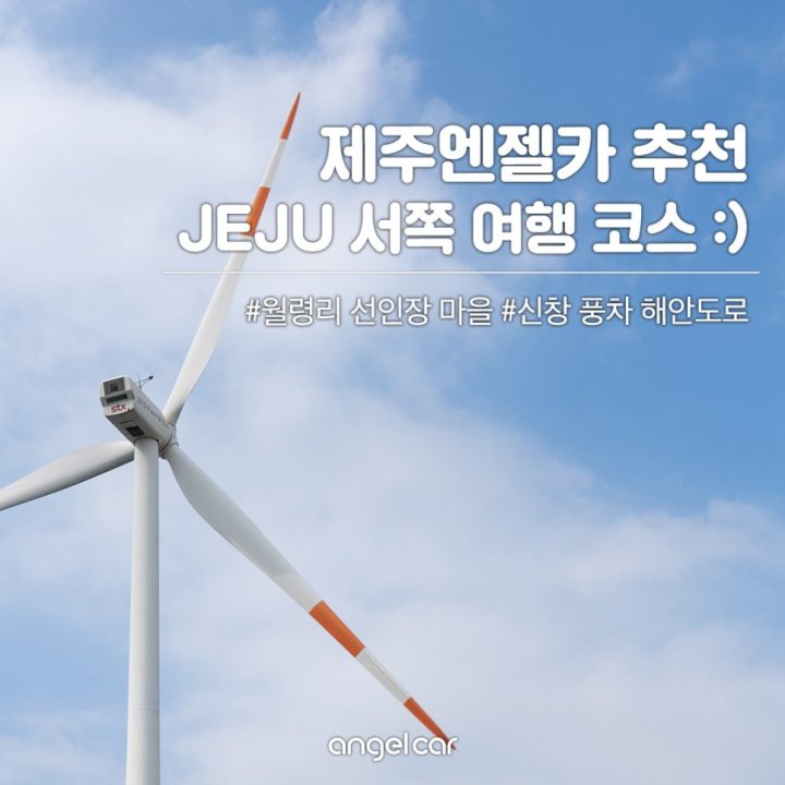 제주 서쪽 가볼만한곳 #월령리선인장마을 #신창풍차해안도로