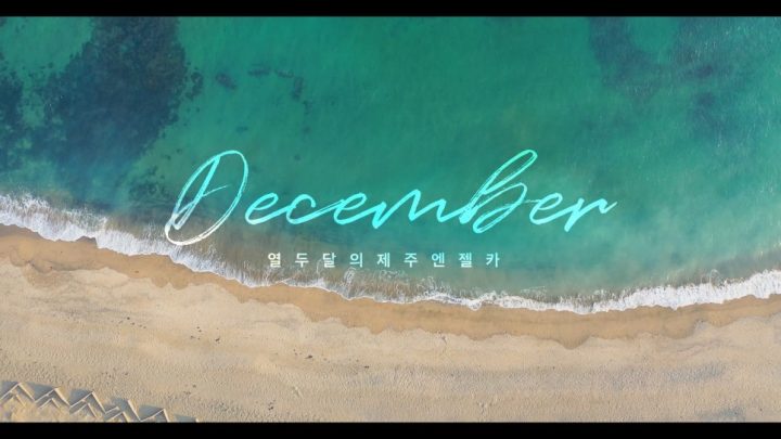 [열두달의 제주엔젤카_DECEMBER] 시원한 서귀포 드라이브 함께 떠나요!