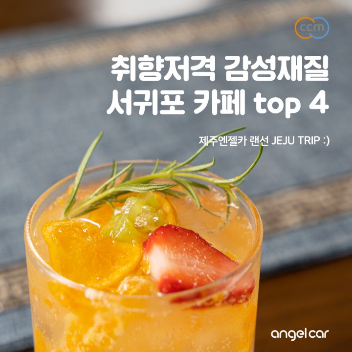 제주 감성재질 서귀포 카페 best 4 :: 풀베개 / 카페아띠 / 난드르커피 / 덴드리