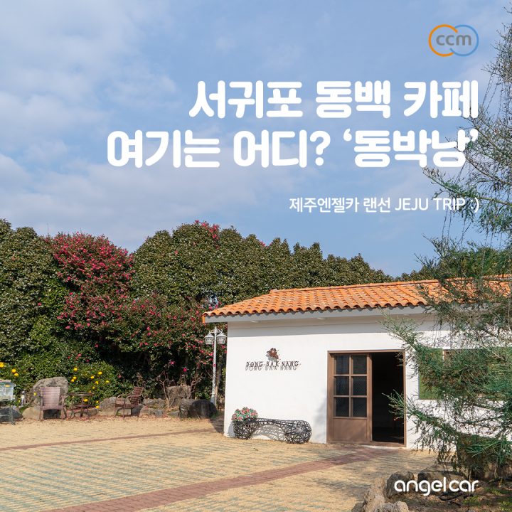 서귀포 동백꽃 어디로 가야하지? 제주 무인카페 '동박낭'