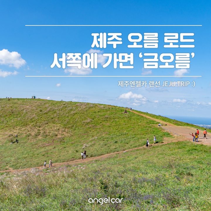 제주 서쪽 오름 :: 새별오름 말고 오늘은 '금오름'