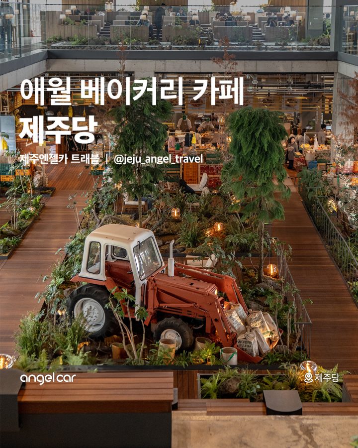 애월 핫플! 대형 베이커리 카페 제주당
