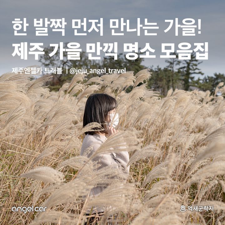 제주 가을 만끽 명소 모음집