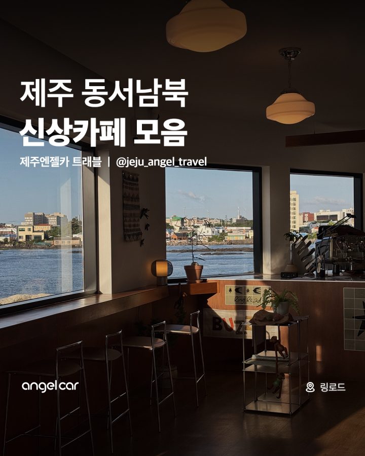 제주 신상카페 모음집