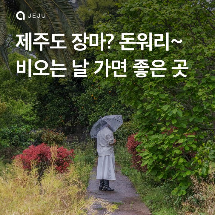 제주도 비오는날? 오히려 좋아~