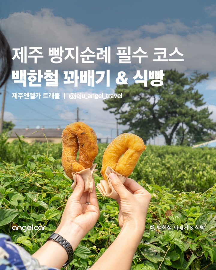 제주 빵지순례 필수 코스!