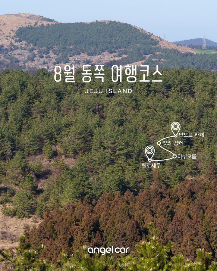 제주 동쪽 여행코스 :: 릴로제주 / 아부오름 / 빛의벙커 / 안도르 / 송당무끈모루