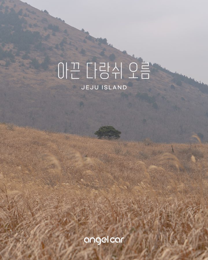제주 겨울오름 추천 :: 가볍게 오르기 쉬운 아끈다랑쉬 오름