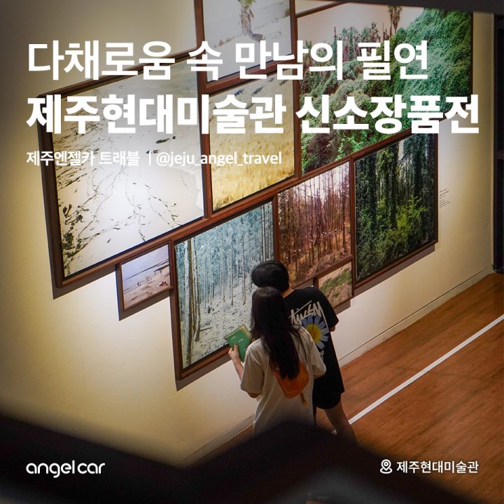 제주현대미술관 신소장품전