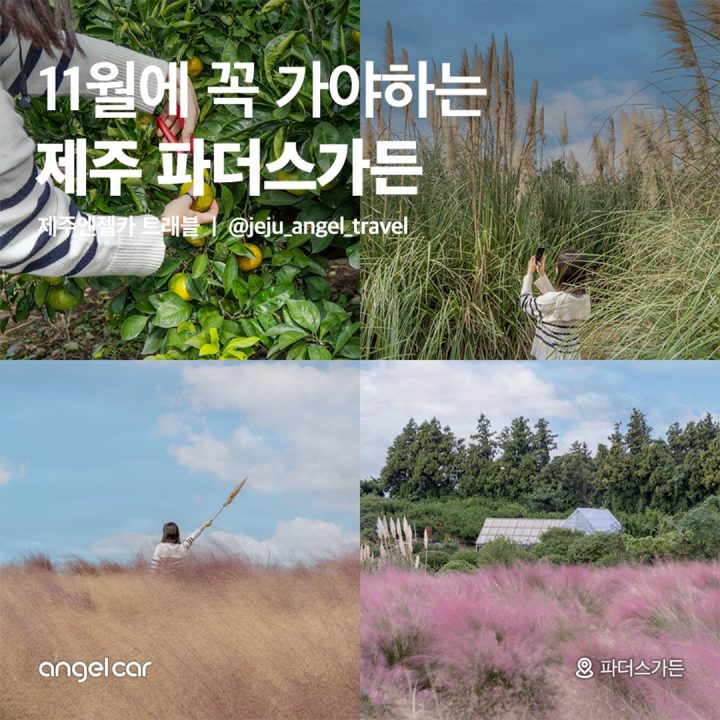 제주도 11월 필수 여행 코스!