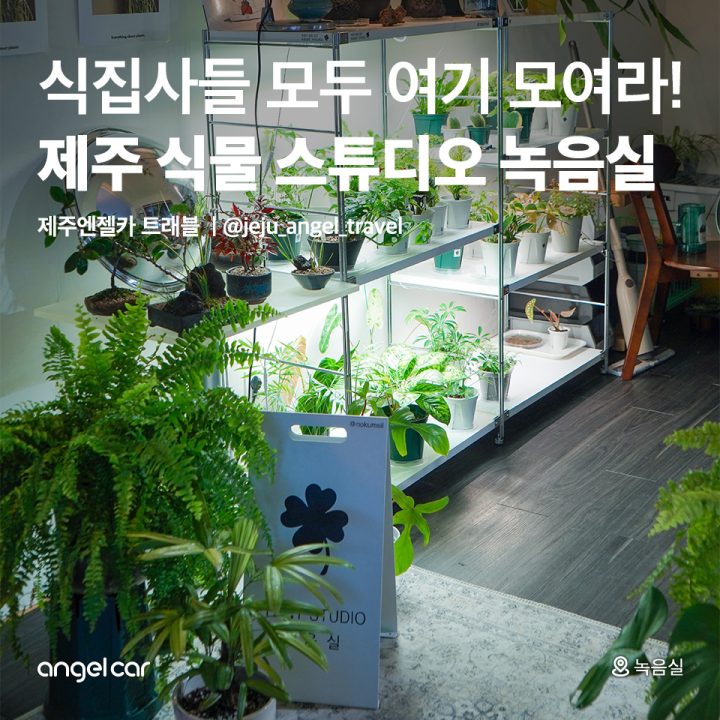 제주 식물 스튜디오 녹음실