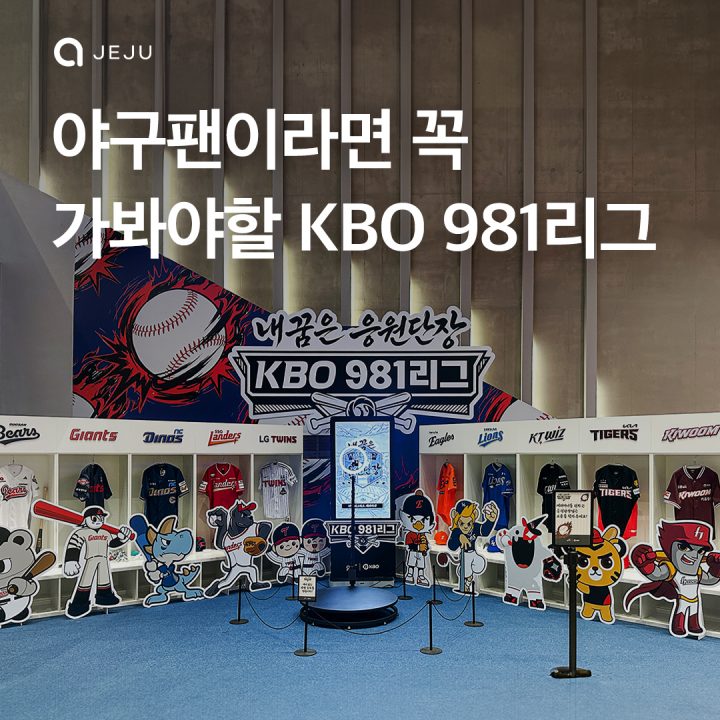 KBO 981 리그, 야구팬이라면 여기!