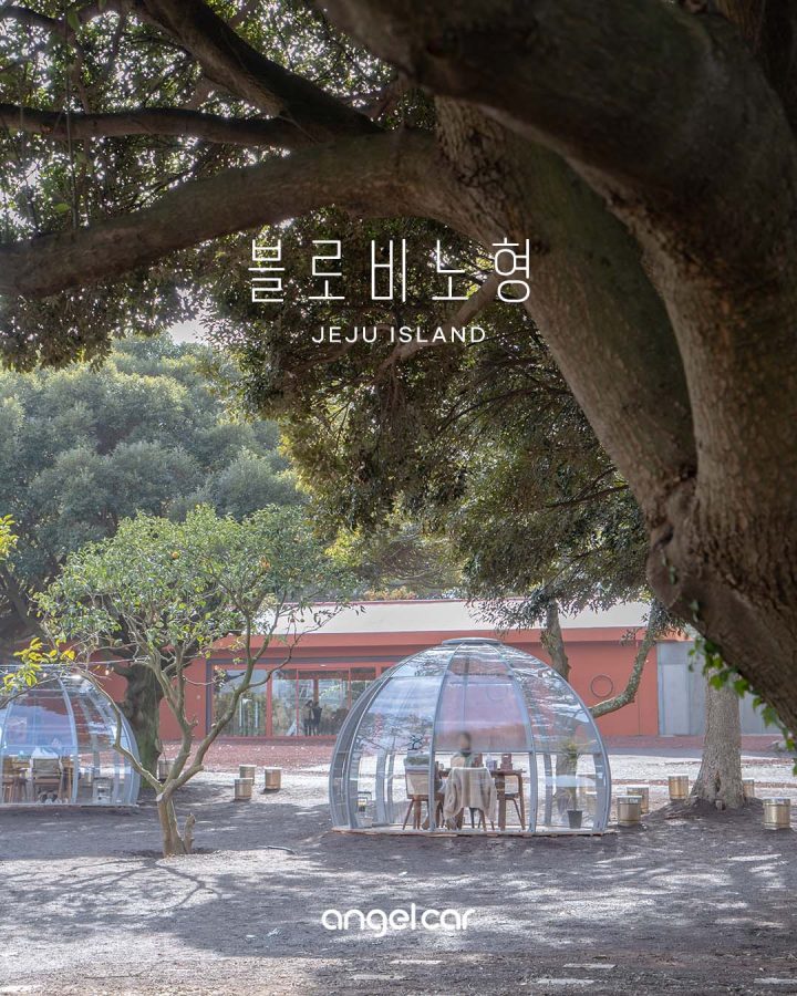 제주시내 신상카페 블로비 노형 :: 가오픈 기간 / 예약방법 / 가는 길 / 주차장