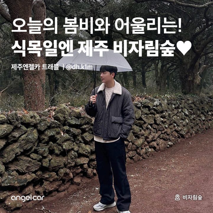식목일에 가기 좋은 제주 비자림숲