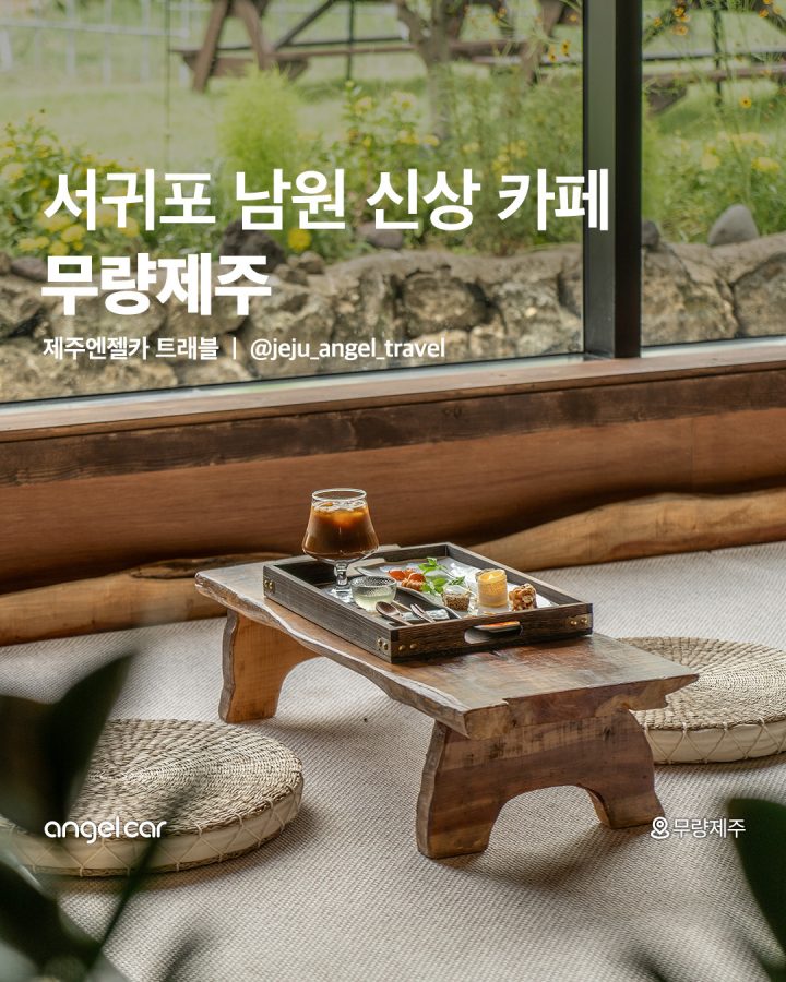 서귀포 신상 카페 무량제주