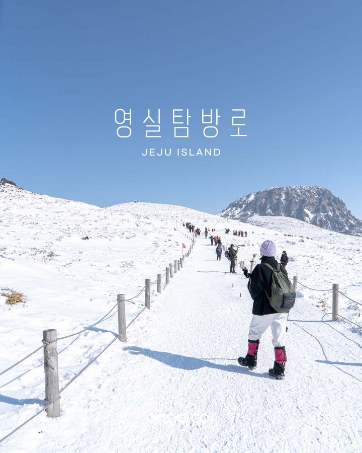 한라산 예약 없이 갈 수 있는 코스 :: 제주 영실 탐방로 (주차장/소요시간/준비물)