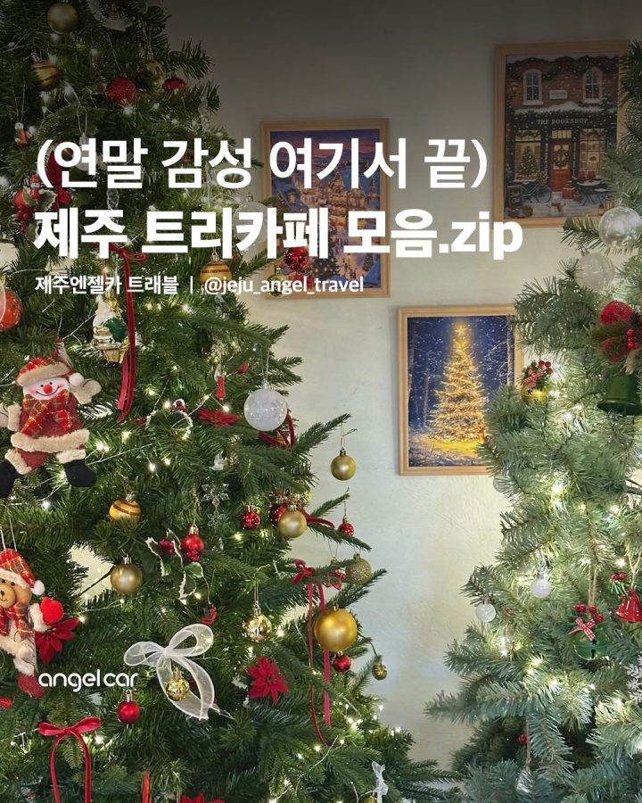 연말 제주도 여행은 트리 카페다!