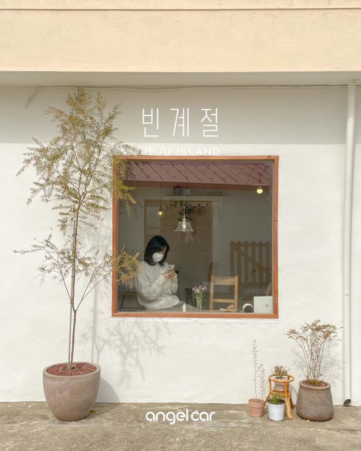 [서귀포 신상카페] 조용한 마을 속 따뜻한 햇살 맛집 '제주 빈계절'