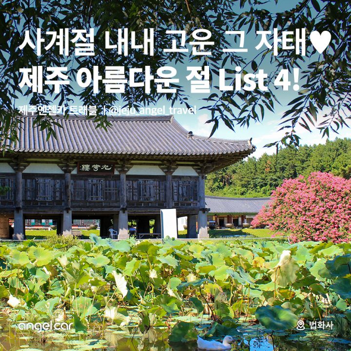제주 아름다운 절 List 4!