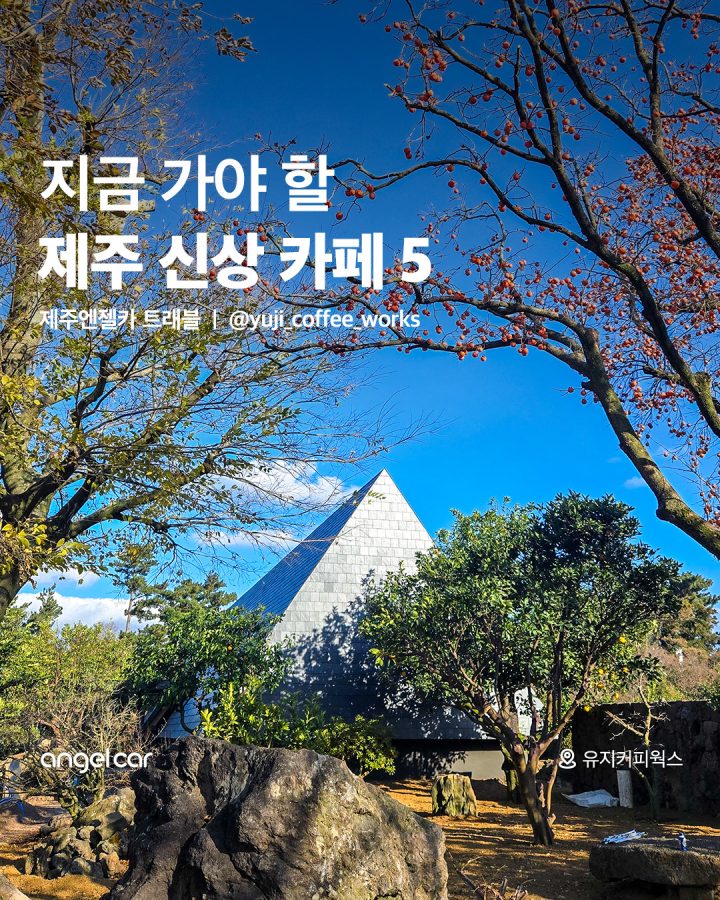3월의 신상 카페 모음!