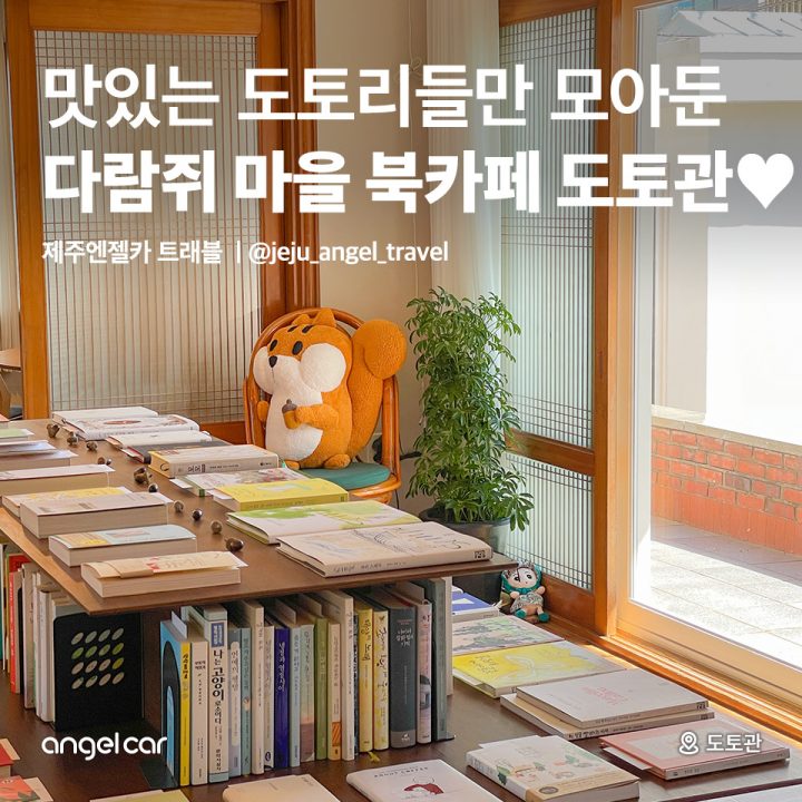 제주 함덕 북카페 도토관♥