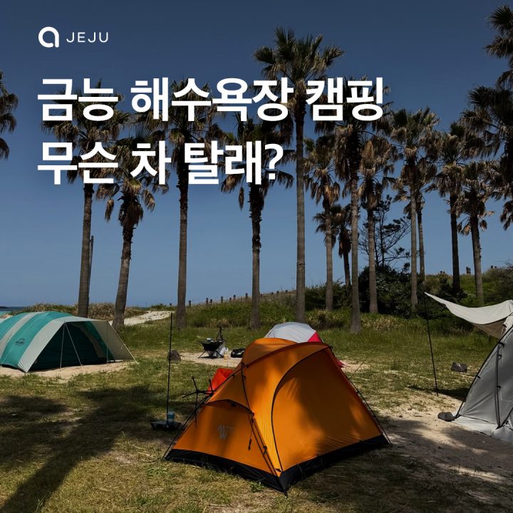 금능해수욕장 캠핑 정보 +차량 추천