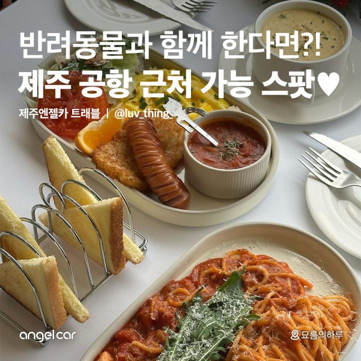 제주 공항 근처 반려동물 가능 스팟♥