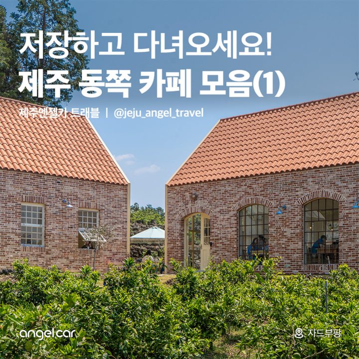 제주 동쪽 카페 모음(1)