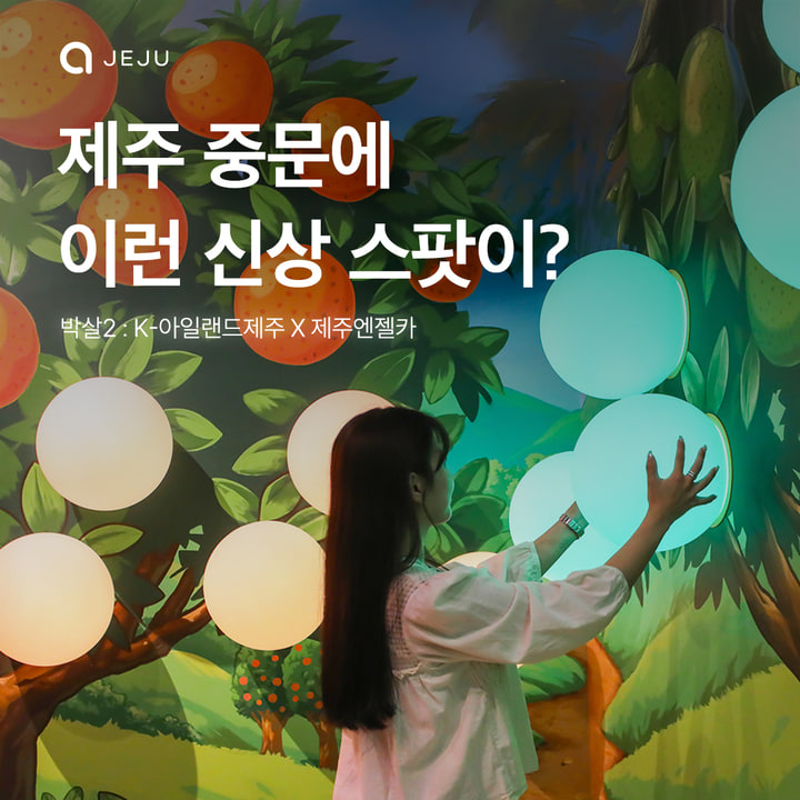 박살2 : K-아일랜드제주x제주엔젤카