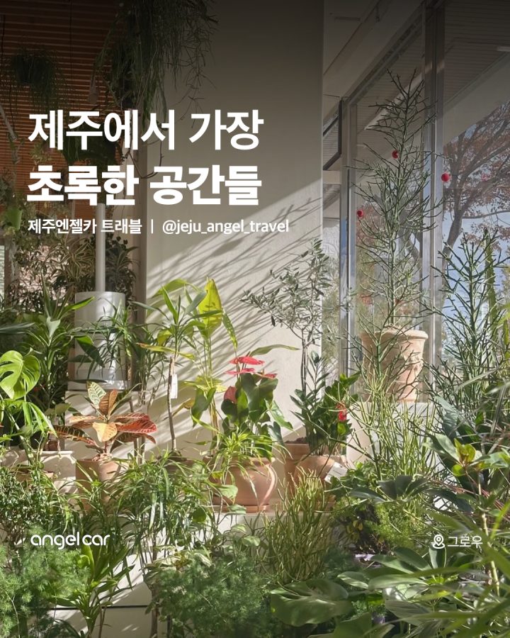 초록초록 제주 식물샵 모음