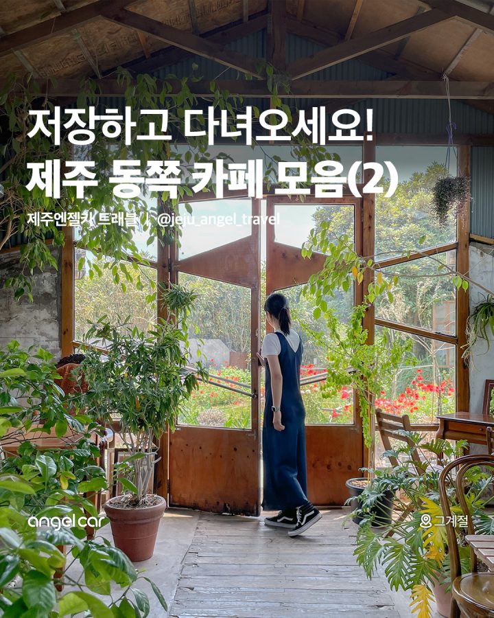 제주 동쪽 카페 모음(2)