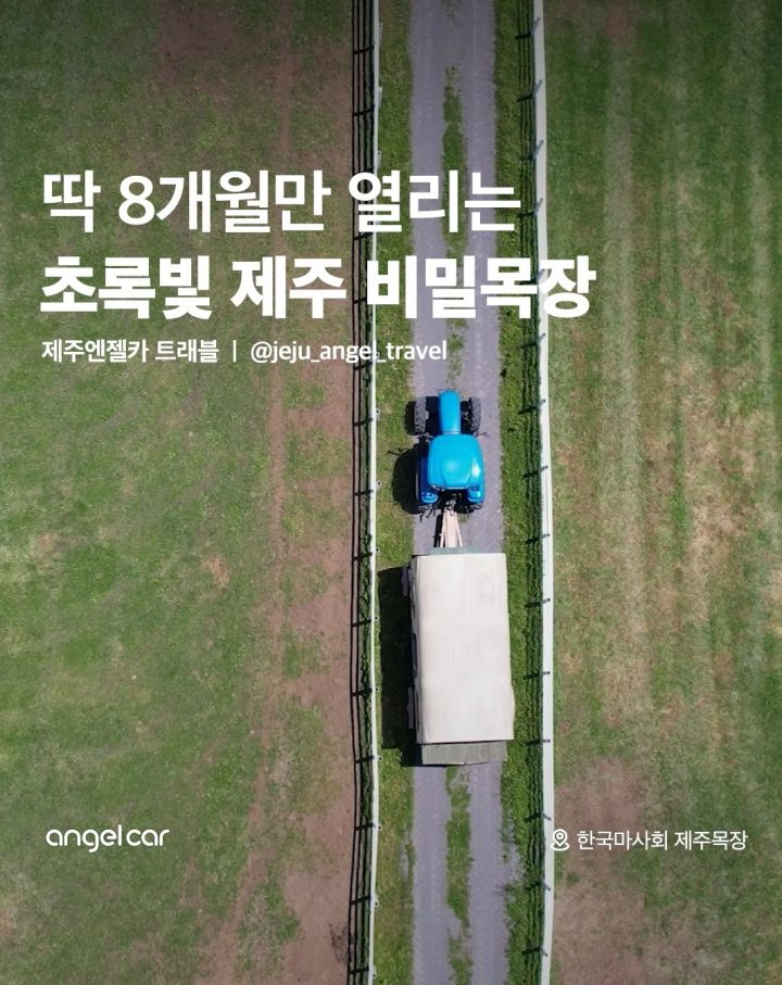 제주도 숨은 여행 코스!