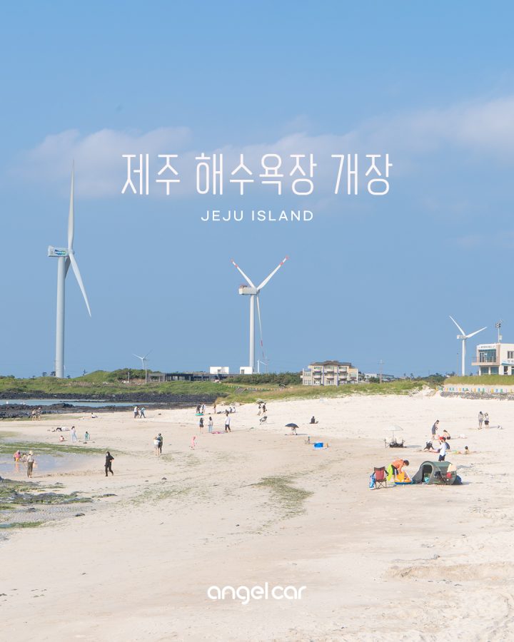제주 해수욕장 개장 소식 :: 제주시&서귀포시 모음집