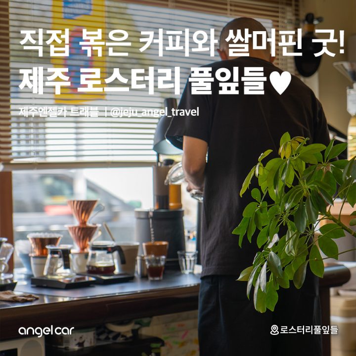 제주 로스터리 풀잎들♥
