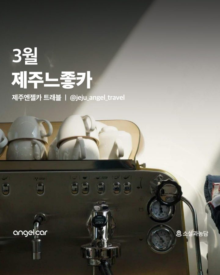 제주 신상카페 소식