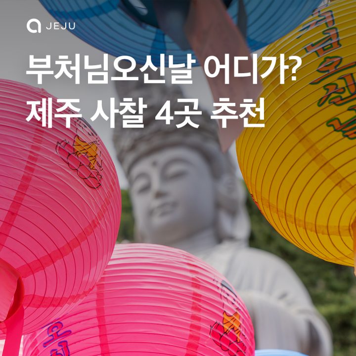 제주 유명 사찰 4곳 추천!