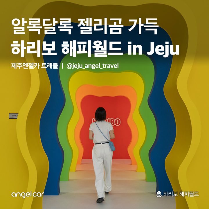 지금 핫한 실내 관광지! 하리보 해피월드