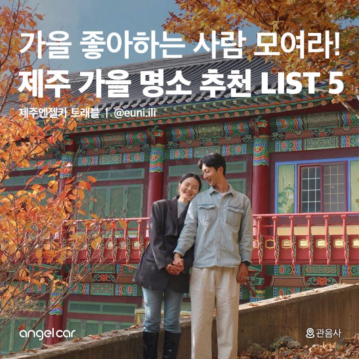제주 가을 명소 추천 LIST 5