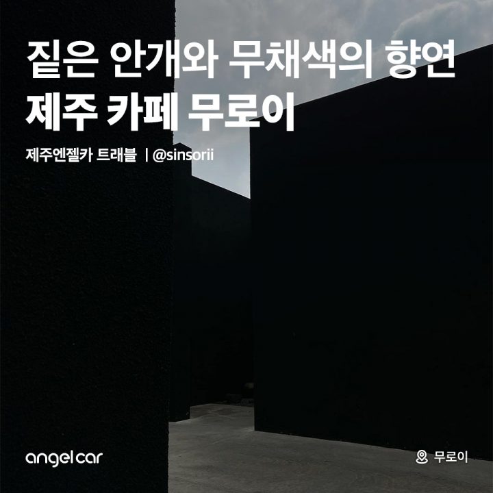 서귀포 안덕 카페 무로이