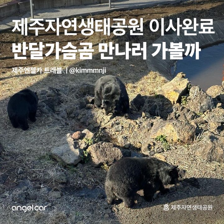 반달가슴곰 만나러 가볼까