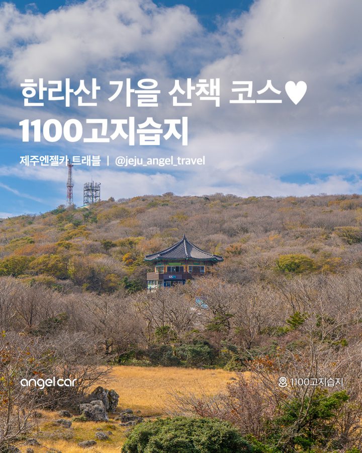 한라산에서 가을 산책, 1100고지습지