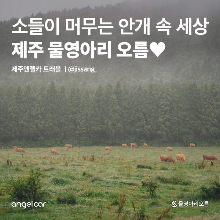 흐려도 좋아! 제주 중산간 물영아리 오름