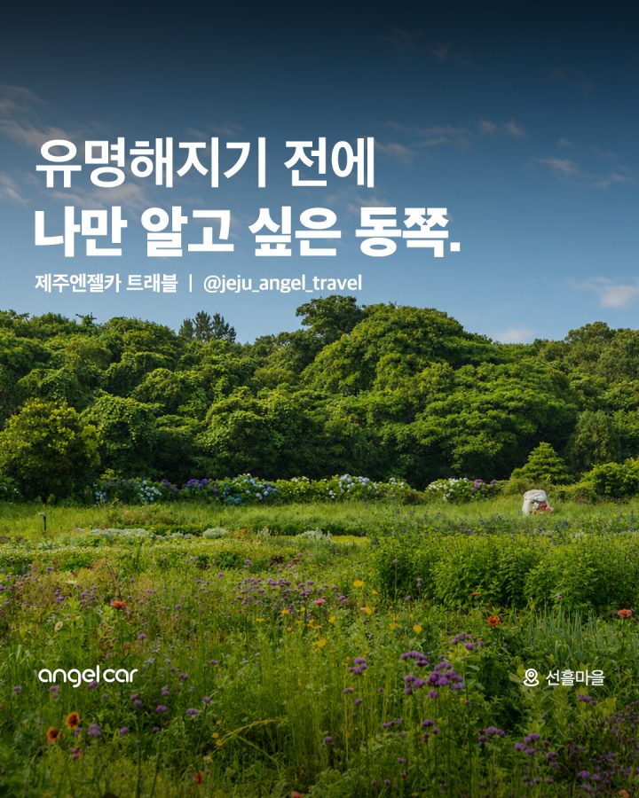 제주 숨은 여행 코스(동쪽)